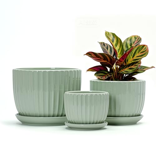 Flower Pots,Ceramic Plant Pots with Drainage Holes Set of 3（Light Green） | Plant Pots Indoor | Small Pots for Plants | Herb Planting Pots | Pretty Outdoor Pots for Plants | Outdoor flower pots - color: Light Green