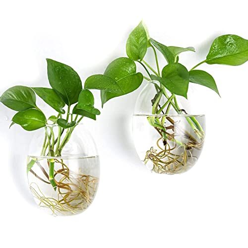 Kingbuy Wall Hanging Glass Planter Flower Vase Plant Propagation Station for Hydroponic Plants Home Office Garden Decor - 2 Egg Shape Plant Terrarium and 4 Square Shape Vase