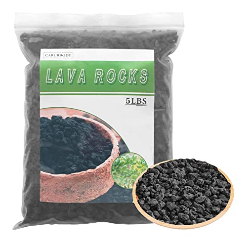 Black Lava Rocks for Plants -100% Pure Volcanic Rock No Dyes or Chemicals-Best Lava Stones Top Dressing for Cacti Succulents Plants,Bonsai-5LBS - color: Black, size: 5LBS
