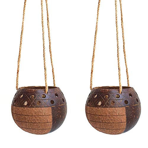 Set of 2 Hanging Stripes Coconut Planters w/Drainage Hole- Perfect for Succulents, Flowers, Small Plants, Indoor & Outdoor Gardens- Handcarved by Artisans, Eco-Friendly & Sustainable