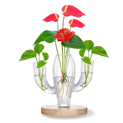 Plant Propagation Stations, Unique Cactus-Shaped Plant Propagating Vase, 3 Independent Areas for Various Plants, Gardening & Housewarming Gifts for Plant Lovers, Home or Office Decor