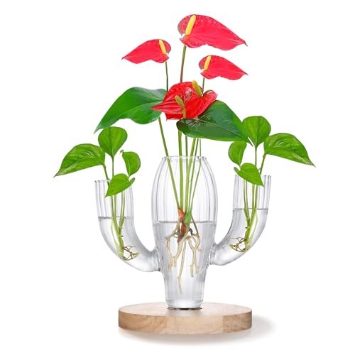 Plant Propagation Stations, Unique Cactus-Shaped Plant Propagating Vase, 3 Independent Areas for Various Plants, Gardening & Housewarming Gifts for Plant Lovers, Home or Office Decor