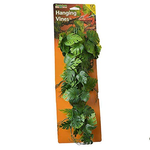 Penn-Plax Reptology Decorative Hanging Terrarium Plant Vines for Reptiles and Amphibians – 12” Length – Green - color: Green, size: 12" Length