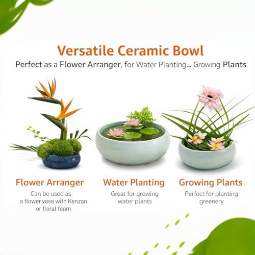 Ikebana Kit, Bowl, with 1.8in Floral Frog | Japanese Flower Vase, Ikebana Vase, Flower Frog Kit, for Hydroponic, Water Lotus Bowl, Japanese Floral Arrangement - color: Crackle Celadon