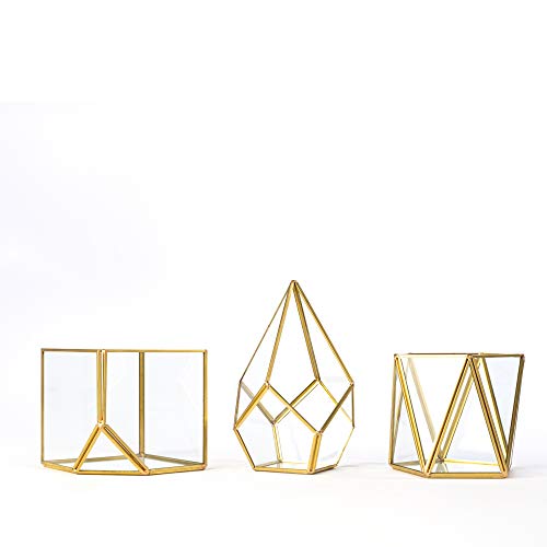 Simply Elegant 3pc Set 4'' Mini Glass Geometric Terrarium Container (Gold) Pyramid Cubic and Pentagon for DIY, Succulent Air Plant Garden, Table Deco Display