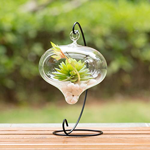 WGV Glass Hanging Plant Terrarium, Width 5", Height 5.5", Turnip DIY Succulent Air Planter Clear Tea Light Votive Candle Holder for Event Home Garden Outdoor Decor, 1 Piece - size: Turnip