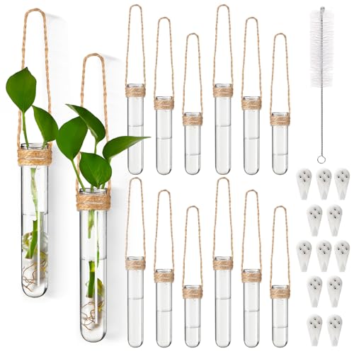 12 Pack Wall Hanging Propagation Station Plastic Test Tubes Planters Wall Terrarium for Home Office Plant Hanger Flower Vases Hydroponic Cuttings Office Garden Flowers Walls Decor Lover Gift