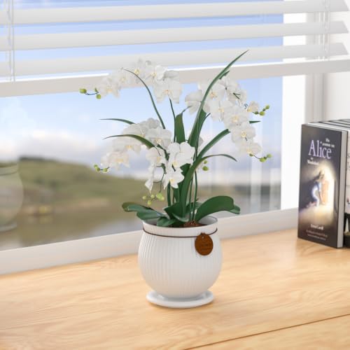 4.4 Inch White Ceramic Planter with Drainage Hole and Saucer - color: Matte White, size: Small