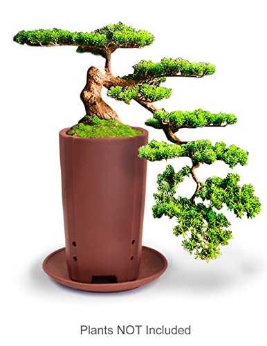 Dahlia 3.5" Zisha Tumbler Bonsai Planter/Succulent Pot/Flower Pot w. Saucer, Brown - color: Style 18: Brown