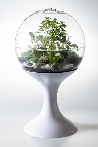 Atomic Space Age Terrarium (White) - color: White