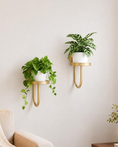 GENTINGBRO Plant Stands Hanging Planters for Indoor Plants Wall Plant Holder Plant Hanger Indoor Wall Planter Window Plant Hanger Plant Decor Golden 2pcs