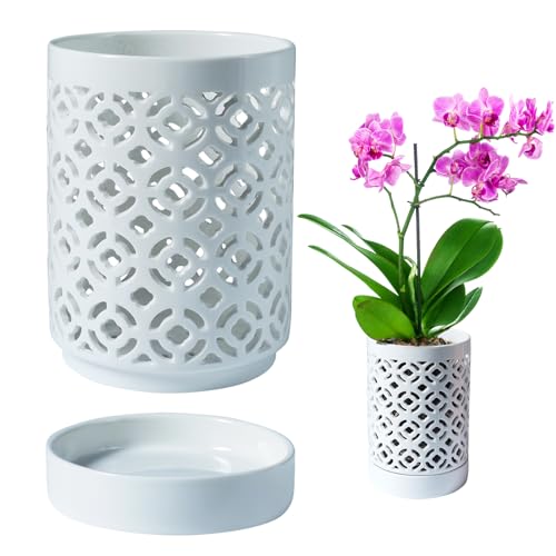 Orchid Pot 4 Inch, Orchid Pots with Holes & Saucers for Repotting, Breathable Slotted Orchid Pots Flower Plant Nursery Pot White - color: White Plum