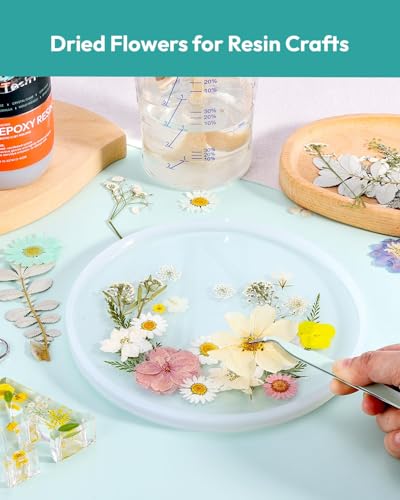Dried Flowers, Resiners 100Pcs Pressed Flowers for Craft | White Real Natural Dried Flowers Dry Leaves Kit for DIY Making Craft Resin Soap Candle Scrapbook Supplies Card Making Jewelry - color: Ivory White 100pcs
