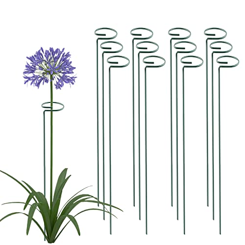 36 Inch 20 Packs Plant Support Stake Garden Single stemmed Plant Support Hoops Plant Prop for Flowers Orchid Tomatoes Peony Lily Rose Gladiolus (36 inch) - color: 36 inch-Green