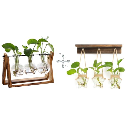 XXXFLOWER Plant Terrarium with Wooden Stand- 3 Bulb Vase+ Wall Hanging Propagation Station with 3 Star-Shaped Glass Vase