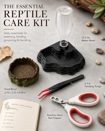 4 Piece Bearded Dragon Water Bowl Set, Food Bowl 13.5Oz | 6.3in Stainless Steel Tongs and Nail Clippers Feeding Grooming Kit Bearded Dragon Tank Accessories for Gecko Turtle Terrarium