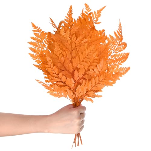 M METERXITY 10-Pack Fern, 15" Natural Dried Greenery with Stems for Wedding Garland Bouquet/Home Party/DIY Crafts Decors, Dried Plants [Orange] - color: Orange