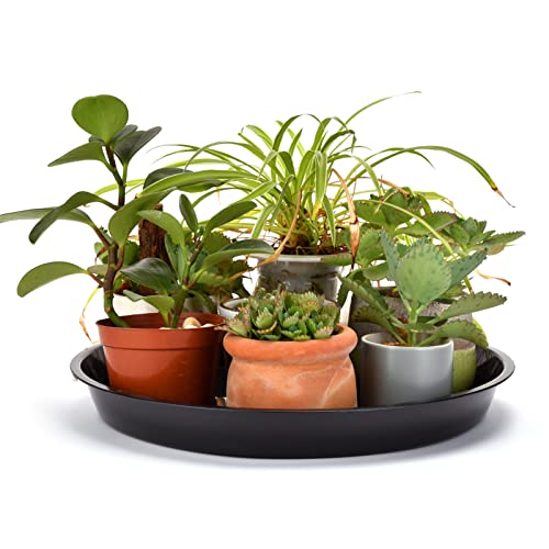 15 in Plant Saucers, 5 Pack Black Plastic Trays with 1.6 in Deep Well, Glossy Drip Pans for Indoor/Outdoor, Fits Pot Bases up to 13.3 in, Weather-Ready for Large Pots & Grow Bags - size: 15 Inch