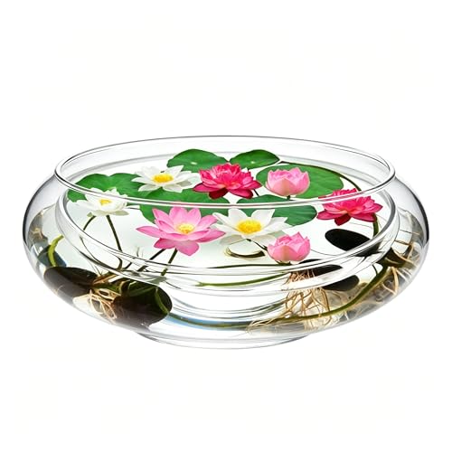 10 Inch Glass Bowl for Plants - Lotus Planter & Clear Terrarium, Large Round Vase for Table Centerpiece, Shallow Bowl for Goldfish & Betta, Decorative Glass Hydroponic Plant Pot 25cm - size: 25x25cm