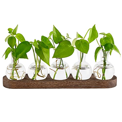 Mkono Plant Propagation Station, Desktop Glass 5 Bulb Vase Brown Wood Tray - color: Brown, size: Large