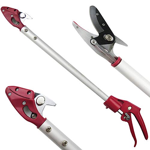 2FT Long Reach Pruner and Fruit Picker with Cut & Hold Feature, Lightweight 0.7lb Aluminum Pole with 90° Rotating Head, High Carbon Steel Sharp Blade, Ergonomic Tree Trimmer for High Branches - size: 2 Feet Cut and hold pruner