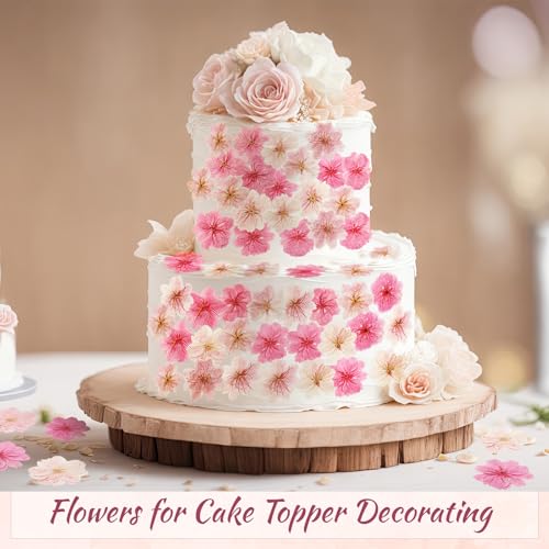 96 Pcs Pressed Edible Flowers, Pink, Flower Style | Natural Dried Flowers for Cake Topper Cupcake, Cocktails Garnish, Resin Jewelry DIY, Soap, Candle Making Art Crafts - color: Pink, style: Flower Style