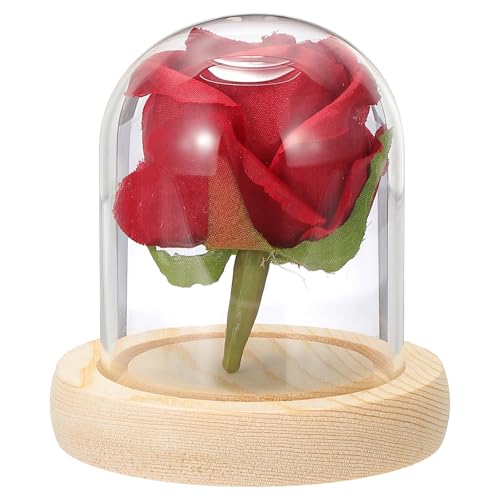 uxcell Glass Cloche Display Dome, 3.1" x 2.5" Glass Dome Display Case Wood Base Tabletop Jar Case Decorative Bell Jar for Plant Home Decor Office Wedding Party, Natural - size: 3.1" x 2.5"