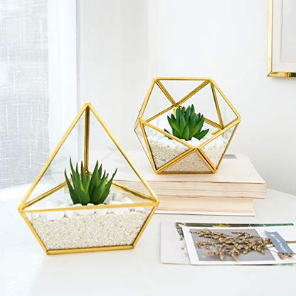 Mkono Desktop Plant Propagation Station Glass Planter Terrarium with Wooden Tray and Artificial Succulent in 3 Pack Mini Glass Geometric Terrarium