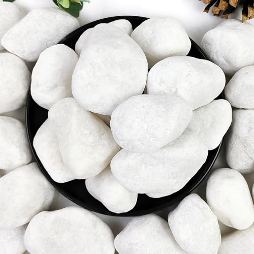 YISZM 5lb White Pebbles for Indoor Plants, 2-3 Inch Natural River Rocks, Snow White Decorative Stones, Ideal for Fish Tank, Vases, Crafting, Home Decor and Garden Landscaping Rocks - size: 5 Pounds, style: 2-3 Inch
