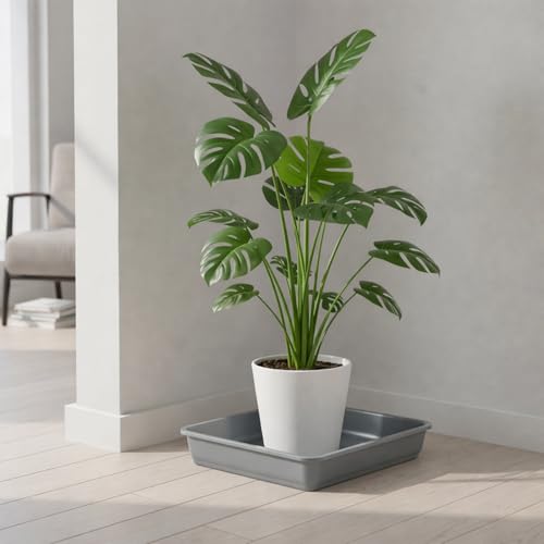 10 Pack Square Plant Saucer 6 Inches Plastic Drip Trays to Catch Water Gray - color: Gray, size: 6 Inch