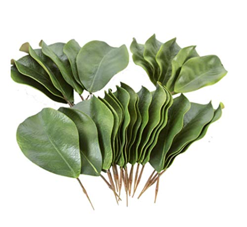 Artificial Magnolia Leaves Pack of 30 Leaves
