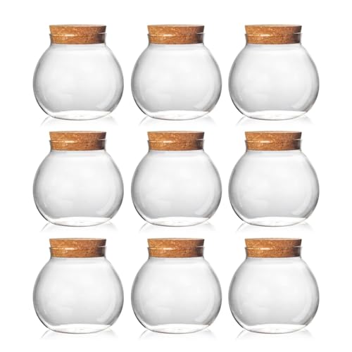 Set of 9 round glass jars with cork lid – 17oz wedding candy jar kitchen jar, perfect for tea, biscuits, cereals, flour, beans, spices, coffee beans etc (9PCS) - color: 9PCS