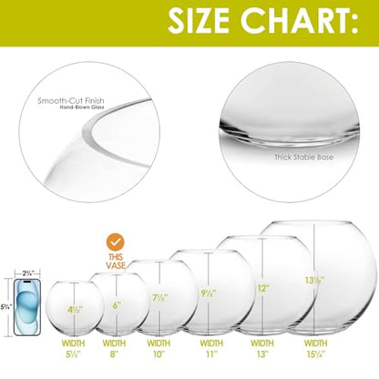 CYS EXCEL Glass Bubble Bowl (H-6" W-8", Approx. 3/4 Gal.) Small Fish Bowl Round Terrarium Vase Globe Flower Centerpiece for Weddings Events Arrangements - size: H-6" W-8"