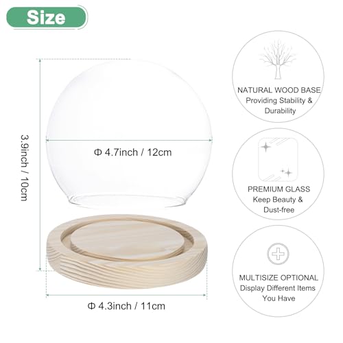 M METERXITY Cloche Glass Dome, D4.7In Ball Jar with Wooden Base for DIY Snow Globes/Small Plants/Flowers/Candles/Models/Souvenirs, Glass Display Case [Wood] - color: Wood, size: D4.7In