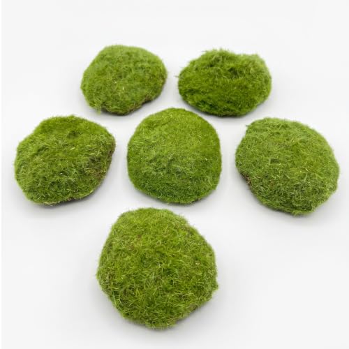Artificial Moss Blocks for Garden Decoration, 6-piece Set, Green Decorative Moss Stones Suitable for Ecological Tanks, elf Gardens(Realistic Green Faux) Fake Moss - color: 6 Pack Small