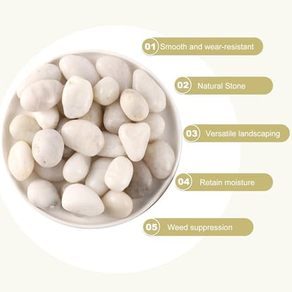 11LB River Pebbles Polished Gravel for Plants Natural White Plant Stones River Rocks 3/4-1 5/8 Inch River Stones for Landscaping Small Pebbles for Crafts - size: 11lb, style: White