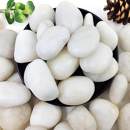 YISZM 10lbs White River Rocks, 2-3 Inch Natural Pebbles for Indoor Plants - color: White, size: 10 Pounds