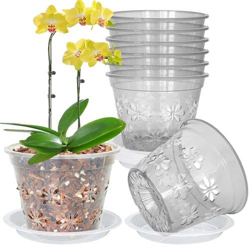 Orchid Pot, 5''(top diameter) x 3.6''H 8 pack Orchid Pots with Holes & Saucers, Clear Plastic Pot For Repotting, Breathable Ventilation Planters for Phalaenopsis, Dendrobium & Oncidium Orchids(grey) - color: Gray, size: 5'' x 3.6'' (8 pack)
