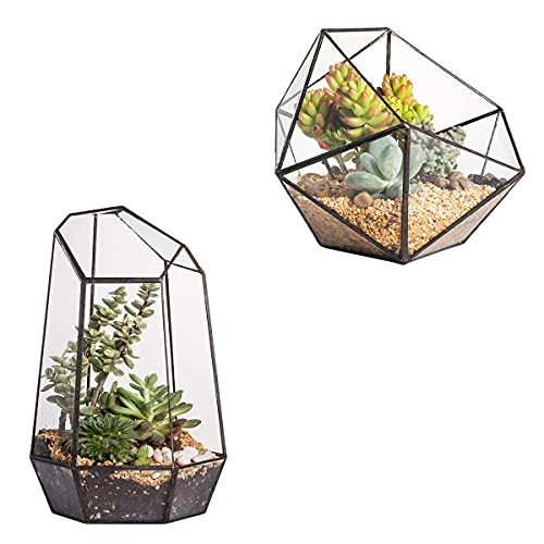 NCYP Geometric Glass Terrarium Set of 2, Modern Indoor Tabletop Balcony Decor Flower Planter Pot Black DIY Display Container for Succulent Fern Air Plants Miniature Fairy Garden (No Plants)