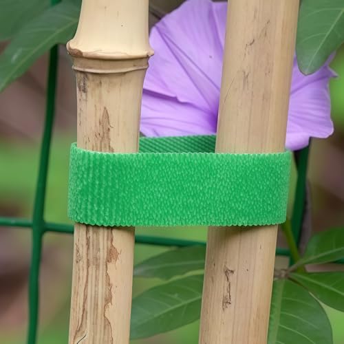 Garden Twine for Tomatoes, Peppers & Vines -33FT Reusable Plant Ties, Gentle & Weatherproof Support, Green(10mm) - size: 33FT/Roll