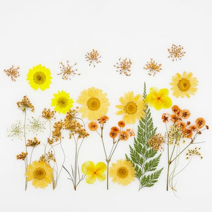 Cayway 33 PCS Dried Pressed Flowers for Resin, Real Pressed Flowers Dry Leaves Kit Natural Dried Pressed Leaves for Art Crafts Resin Scrapbook Supplies Soap Candle DIY, Yellow - color: Yellow-orange-33