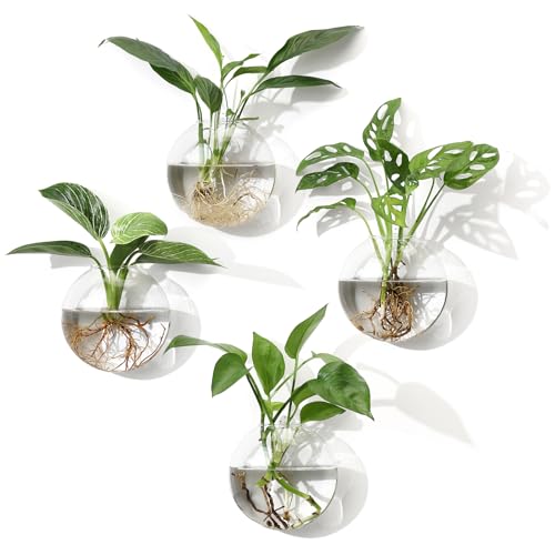 Wall Propagation Planters, 4 Pack Oblate Hanging Plant Holder Vase - size: 5.1"L x 2.4"W x 5"H