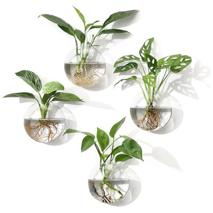 Wall Propagation Planters, 4 Pack Oblate Hanging Plant Holder Vase - size: 5.1"L x 2.4"W x 5"H