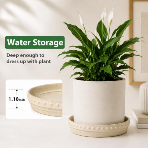 Plant Saucers, Plant Trays to Catch Water, 2 Pcs 8" Ceramic Saucer | Flower Pot Saucers fit pots up to 7", hand-painted antique beige ceramic, catches excess water to protect floors - color: Beige White