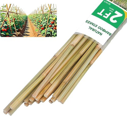 Natural Bamboo Plant Stake（3FT 50Pcs） Sturdy Bamboo Poles, Durable Plant Bamboo Stake, Garden Climbing Plant Bracket. - size: 3ft-50pcs