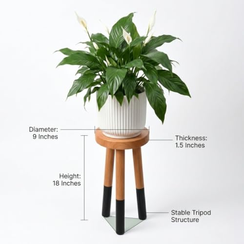 Wood Plant Stand, Indoor Plant Holder, Wooden Pot Stand for Plants - color: 18" Tall Black