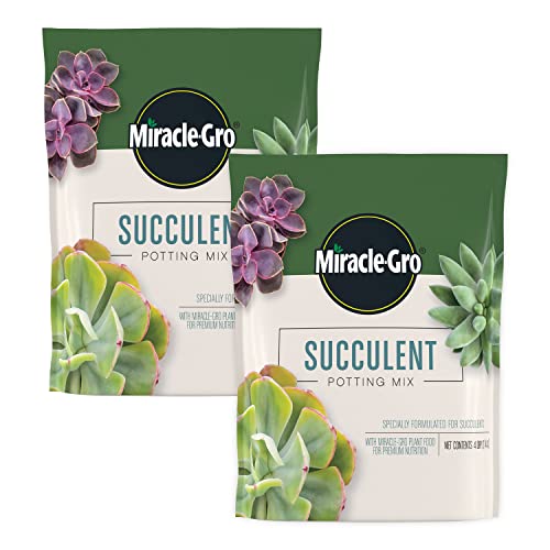 Miracle-Gro Succulent Potting Mix, 4 qt. (2-Pack) - size: 2 Pack, style: Succulent