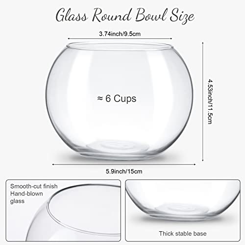 Thenshop 6 Pcs Clear Fish Bowl Bulk Glass Bubble Vase Mini Round Vase Bubble Planter Terrarium Fish Bowl for Centerpiece Flowers Betta Fishs Wedding Event Home Decor Flowers (4.5 x 3.7 x 5.9 Inch)