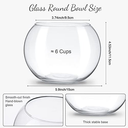 Thenshop 6 Pcs Clear Fish Bowl Bulk Glass Bubble Vase Mini Round Vase Bubble Planter Terrarium Fish Bowl for Centerpiece Flowers Betta Fishs Wedding Event Home Decor Flowers (4.5 x 3.7 x 5.9 Inch)