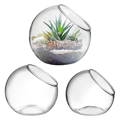 Milisten 3pcs Glass Terrariums for Plants, Slanted Terrarium Jar, Glass Fish Bowls for Air Plant Succulent Cactus Moss, Clear Globe Vase Container for Home Desktop Micro Landscape Decor, 3 Size